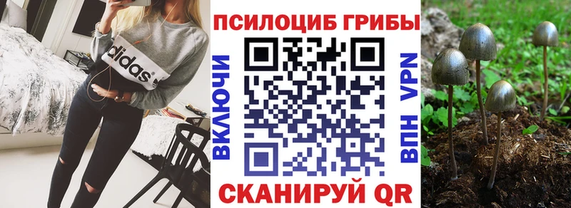 Псилоцибиновые грибы Cubensis  блэк спрут   Колпашево 